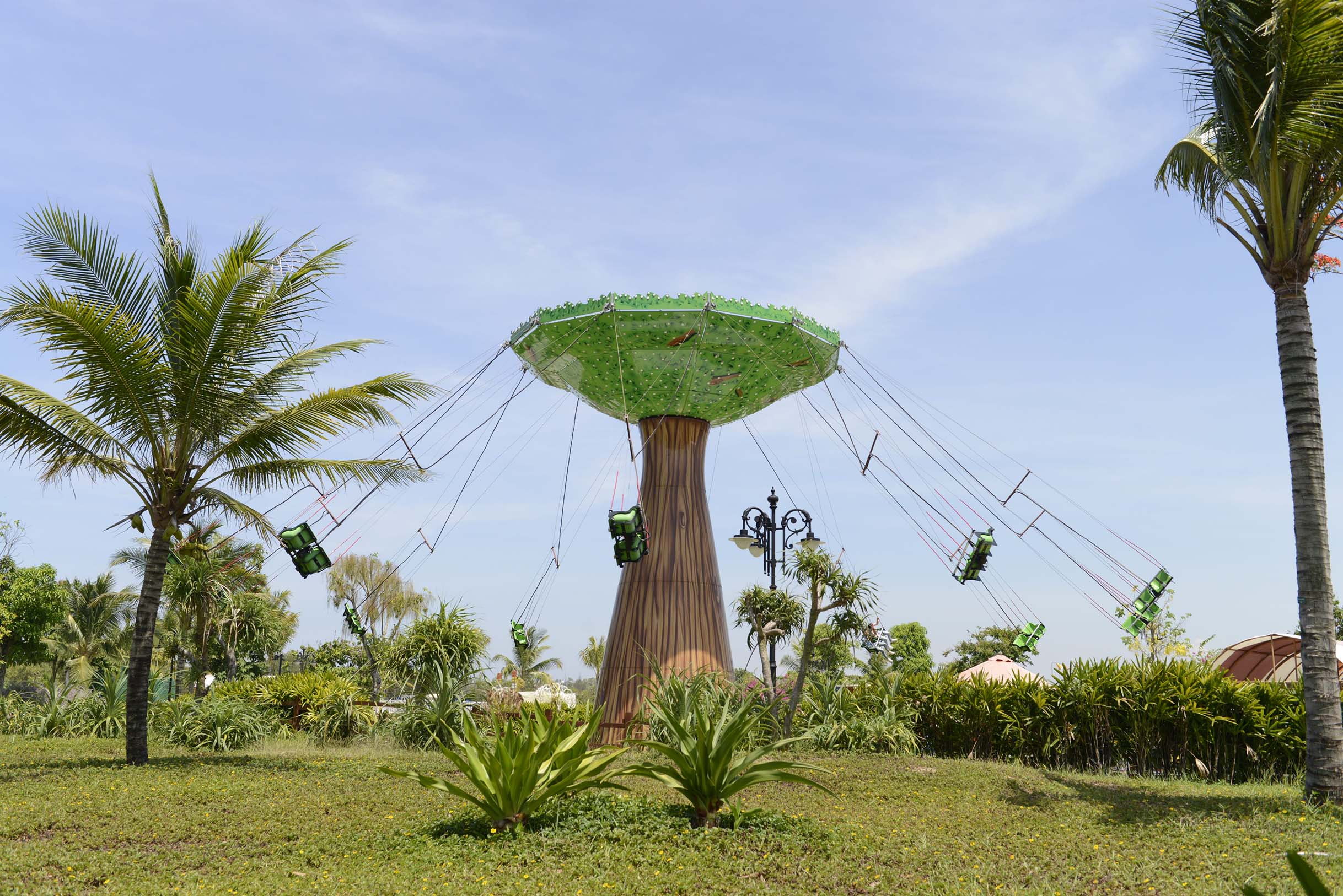 Cây dây văng_D8H7593