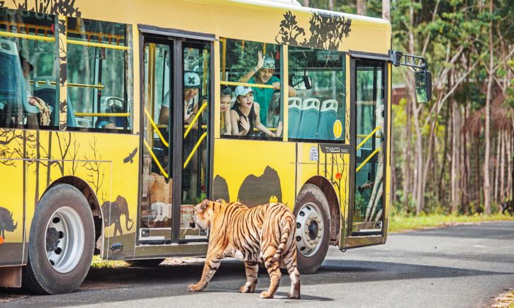 Cập nhật lịch trình Shuttle Bus đón khách VinWonders Phú Quốc và Vinpearl Safari 1/2021