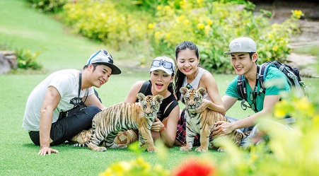 Bản đồ Vinpearl Safari Phú Quốc 2025 – Thỏa sức vui chơi, không lo bị lạc