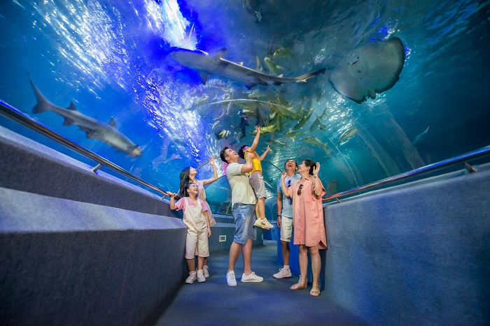 Du lịch Vinpearl Nha Trang 1 ngày du-lich-vinpearl-nha-trang-1-ngay-19