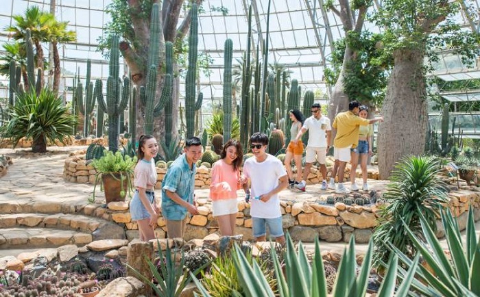 Du lịch Vinpearl Nha Trang 1 ngày du-lich-vinpearl-nha-trang-1-ngay-8