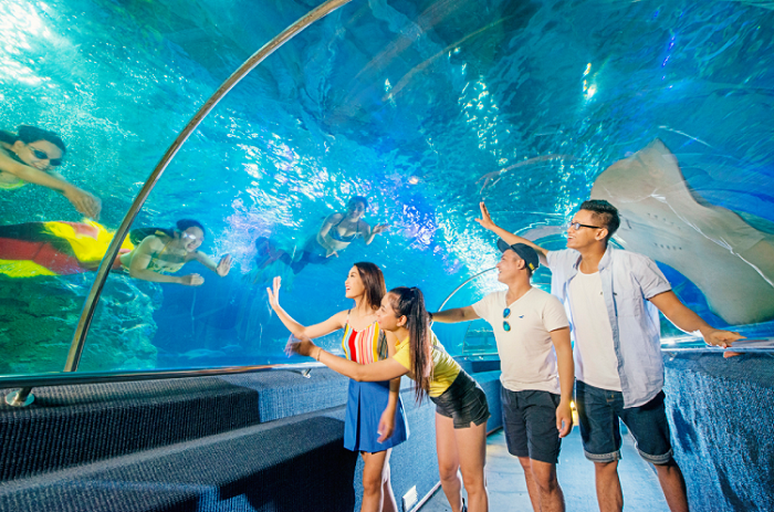 Thủy cung Vinpearl Nha Trang thuy-cung-vinpearl-nha-trang-7