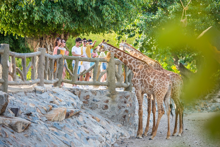 khách sạn Nha Trang đường Trần Phú VinWonders Nha Trang