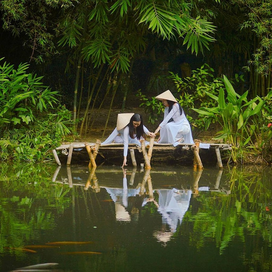 Hơn 100 loài tre trúc quý hiếm tại Sơn Trà Tịnh Viên