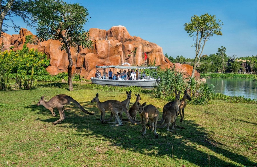 Du khảo trên sông tại River Safari