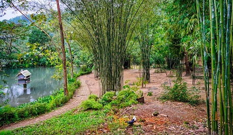 Sơn Trà Tịnh Viên Đà Nẵng –  Chốn bồng lai tiên cảnh giữa trần gian