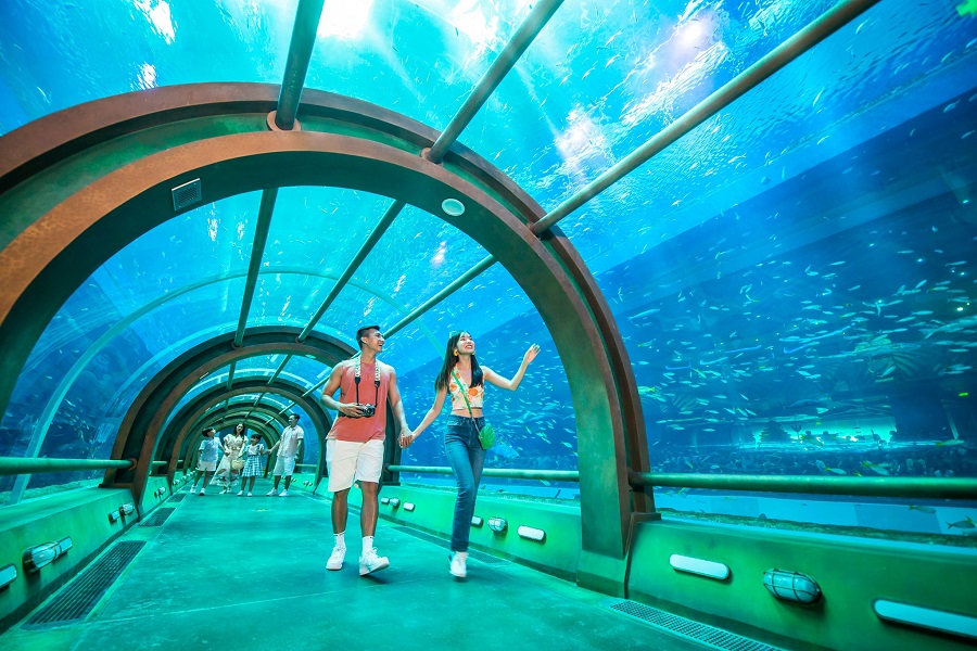 hàng ngàn sinh vật biển tại Cung điện Hải Vương