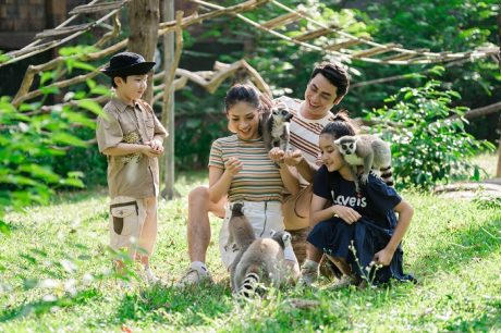 TOP 6 trải nghiệm hấp dẫn tại vườn thú Việt Nam – Vinpearl Safari Phú Quốc