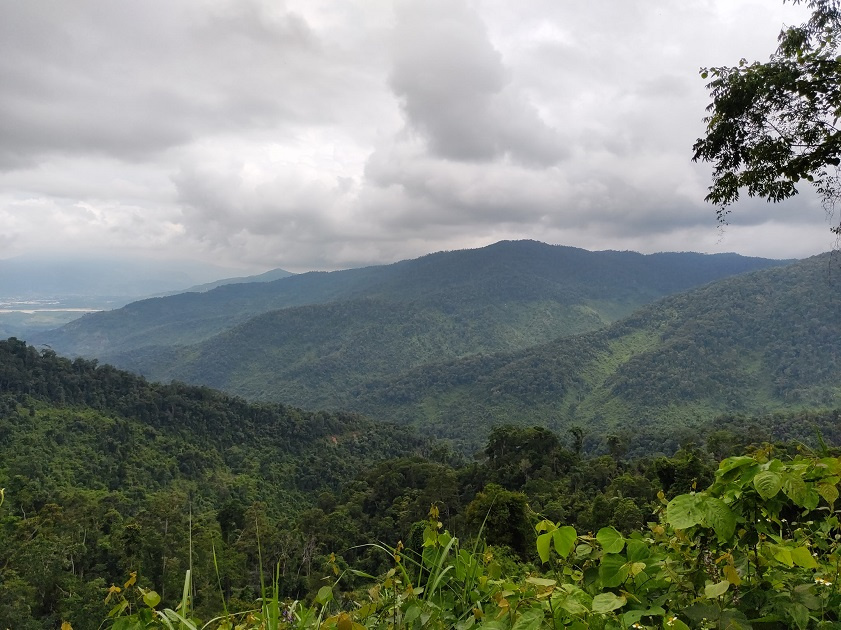Rừng nguyên sinh Hòn Bà