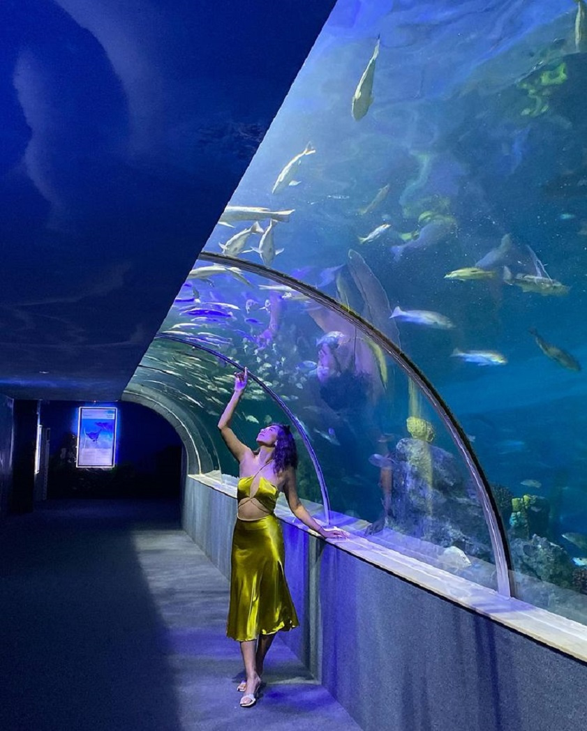 Địa điểm đi chơi Noel ở Hà Nội Vinpearl Aquarium Times City