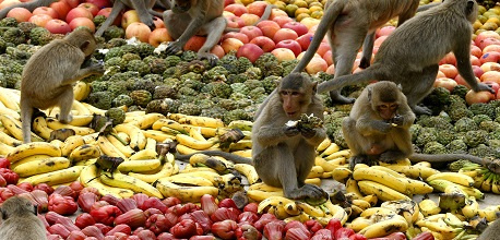 Lễ hội Hoa quả sơn: Một trong những lễ hội được mong chờ nhất ở Nha Trang