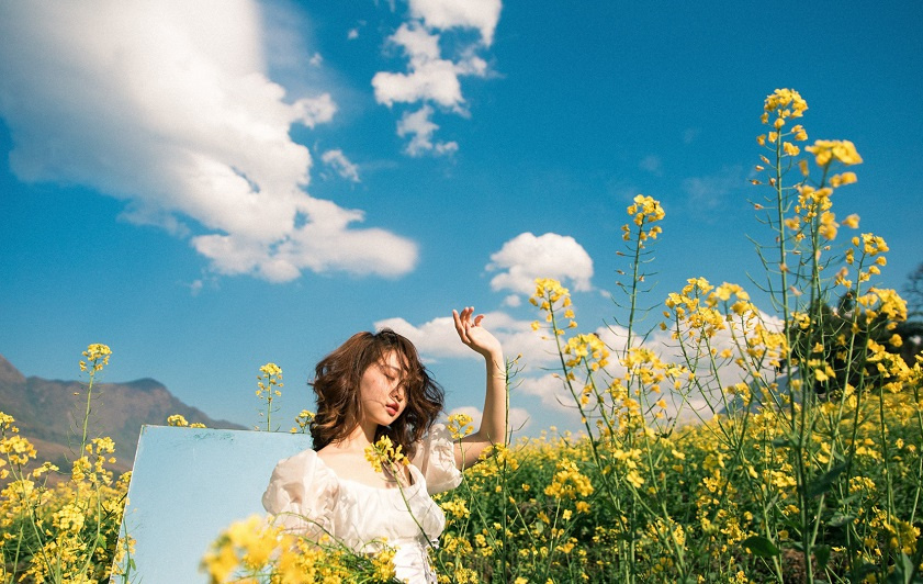 “Sống ảo” đẹp mê ly với mùa hoa cải vàng 