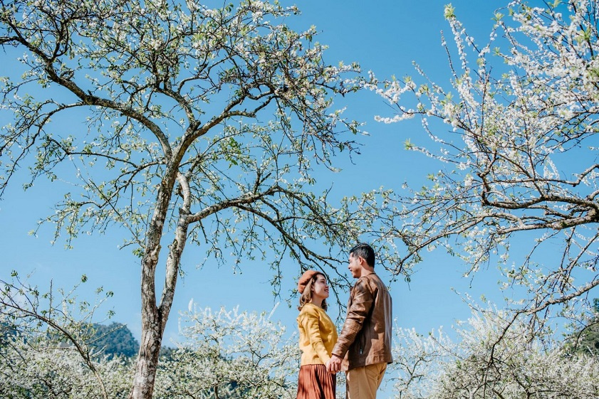 Vẻ đẹp của Sapa mùa hoa mận