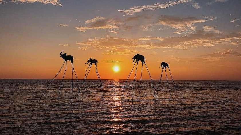 Tháng 4 nên đi du lịch ở đâu miền Nam Hoàng hôn ại Bãi Trường