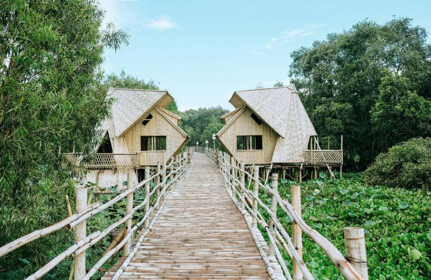 Khung cảnh đẹp ở rừng tràm Trà Sư