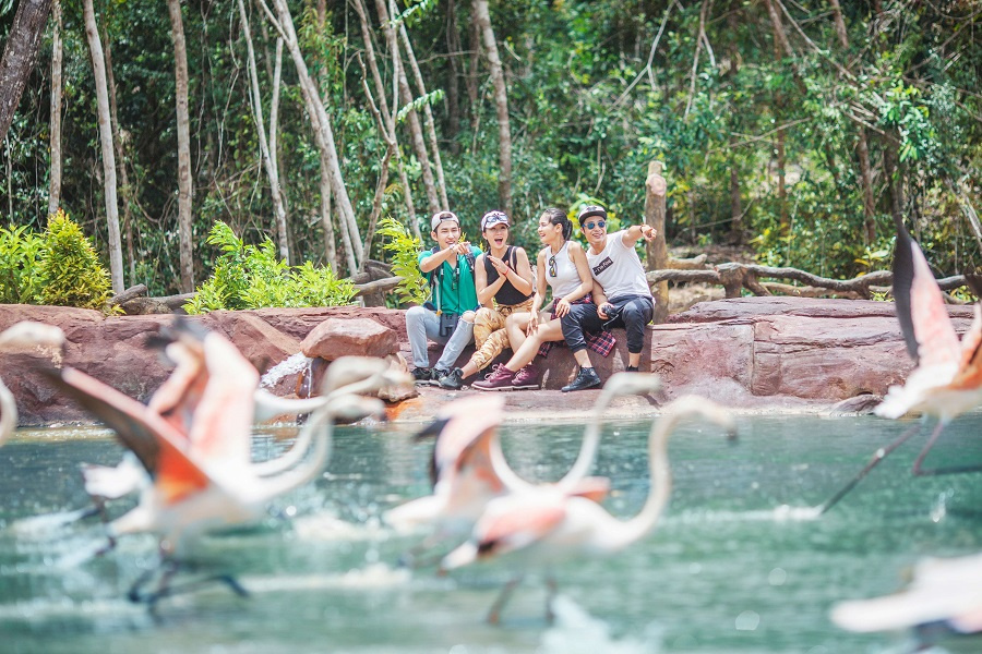 Tour Đà Nẵng - Phú Quốc Khám phá thiên nhiên hoang dã tại Vinpearl Safari Phú Quốc