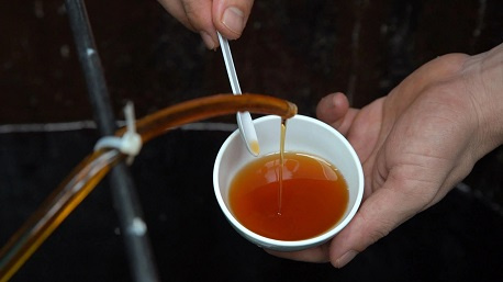 Vietnamese fish sauce (Nuoc mam): A delicate touch to Vietnamese cuisine