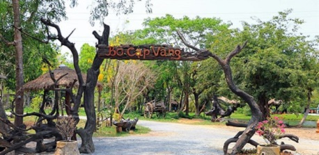 Khu du lịch Bò Cạp Vàng ở đâu, có gì chơi? Giá vé mới nhất 2025