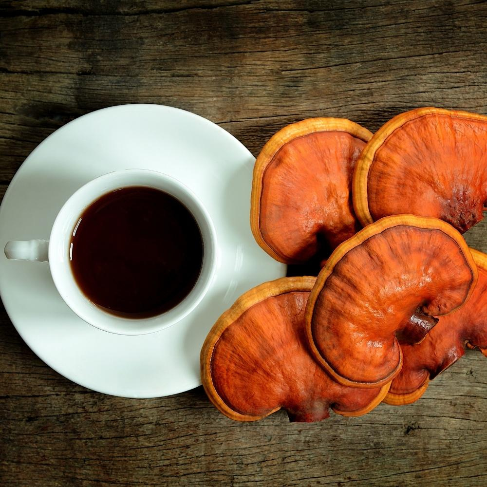 Không nên lạm dụng việc sử dụng nấm lim xanh