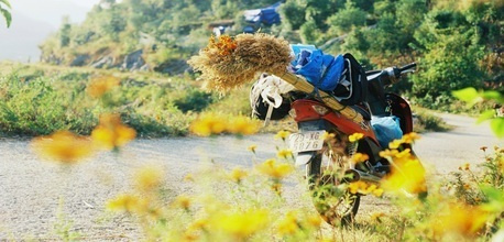 TOP các địa điểm phượt miền Nam thú vị làm say lòng các phượt thủ