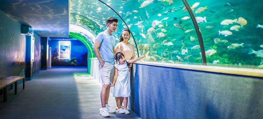 Tháng 1 nên đi du lịch ở đâu Khám phá thủy cung Times City