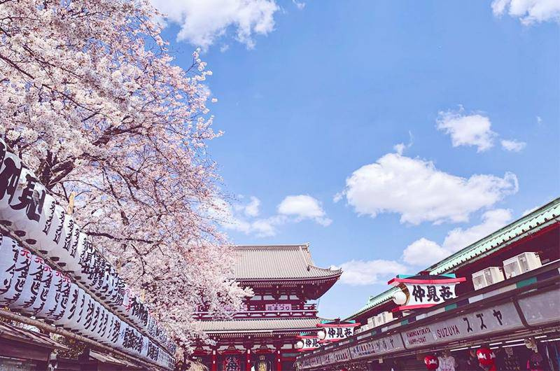 Du lịch Hàn Quốc tháng 5