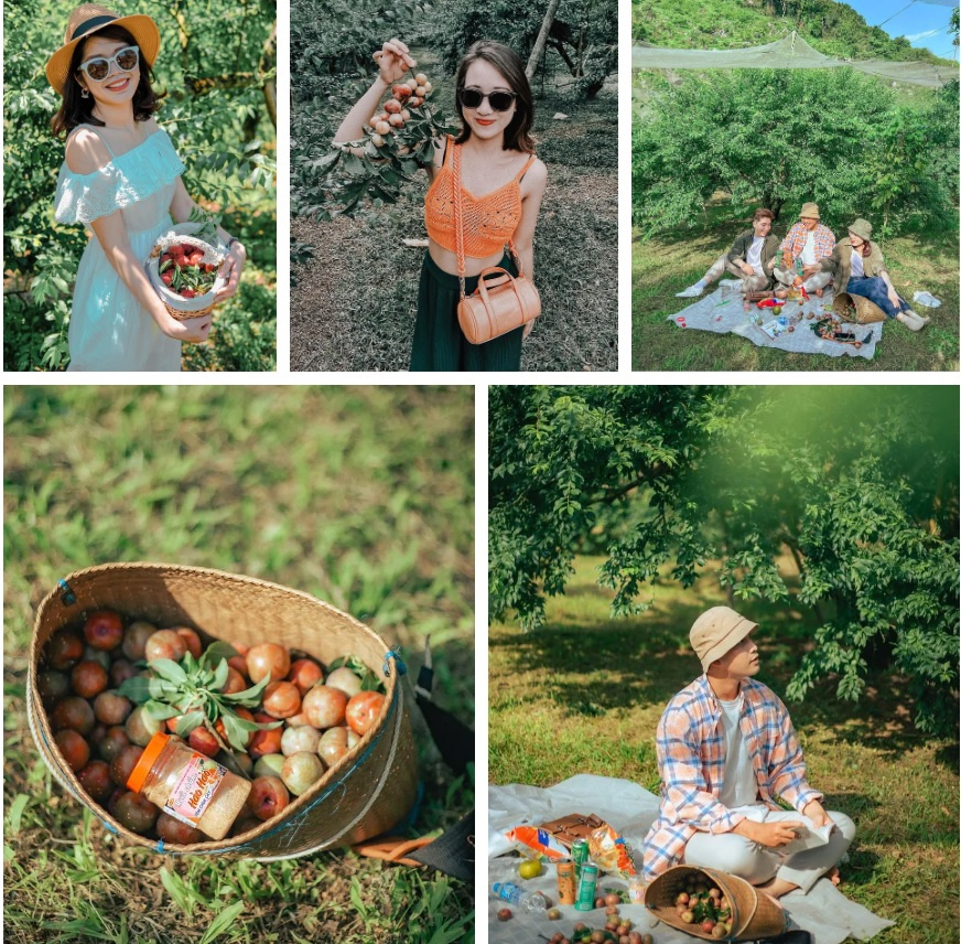 Mộc Châu xinh đẹp, bình yên, thu hút du khách ghé thăm và trải nghiệm