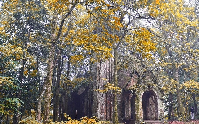 Ghé thăm vườn quốc gia Ba Vì