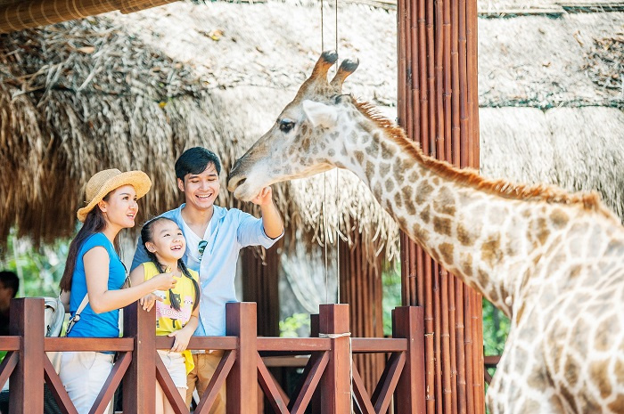 Khám phá thế giới động vật cùng gia đình tại Vinpearl Safari Phú Quốc