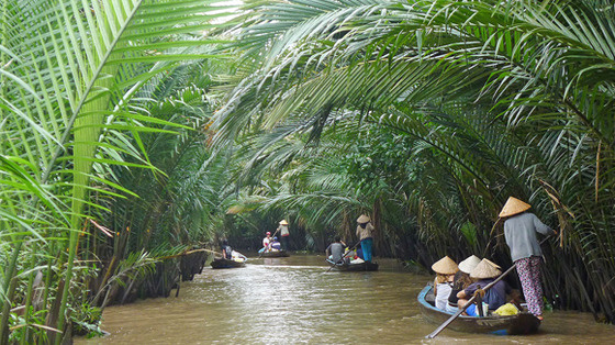 Tháng 8 nên đi du lịch ở đâu miền Nam Khu du lịch sinh thái cồn Quy