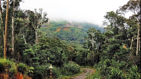 Hon Ba Nature Reserve Nha Trang: Head into green forest and enjoy your day