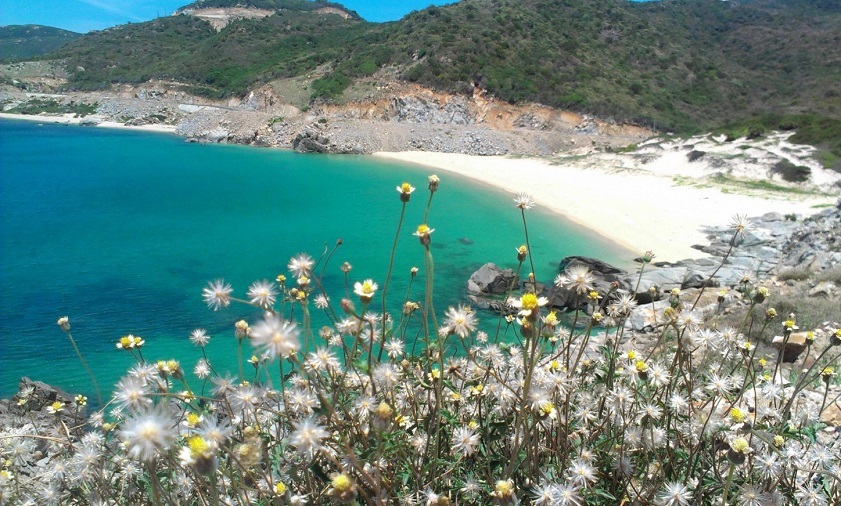 Bãi Chuối Đà Nẵng