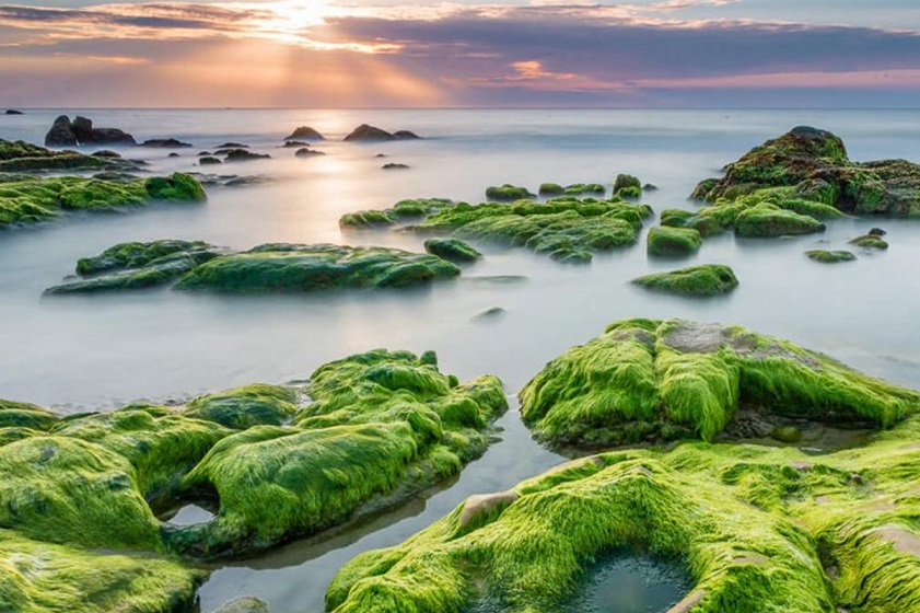 Rạn Nam Ô sở hữu bãi đá độc đáo