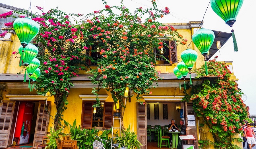 Trải nghiệm không gian lãng mạn của quán cafe rợp bóng hoa giấy