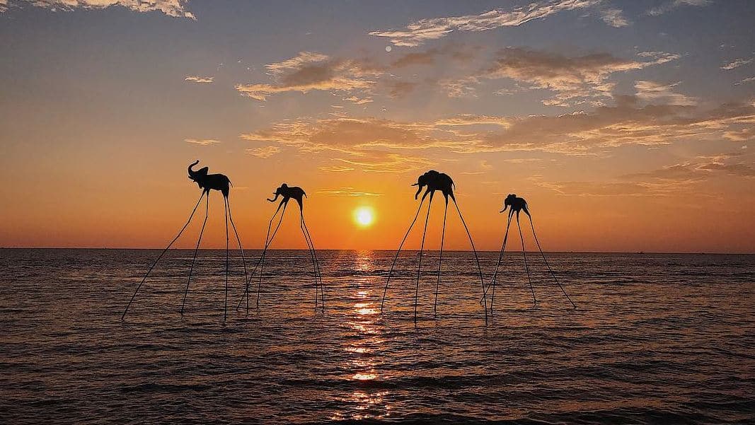 Bãi Trường Phú Quốc