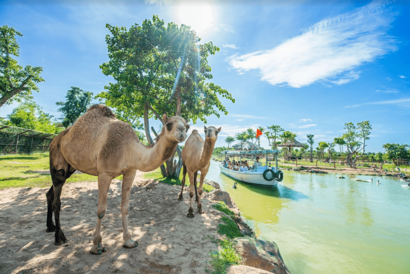 Du ngoạn trên sông tìm hiểu các loài động vật