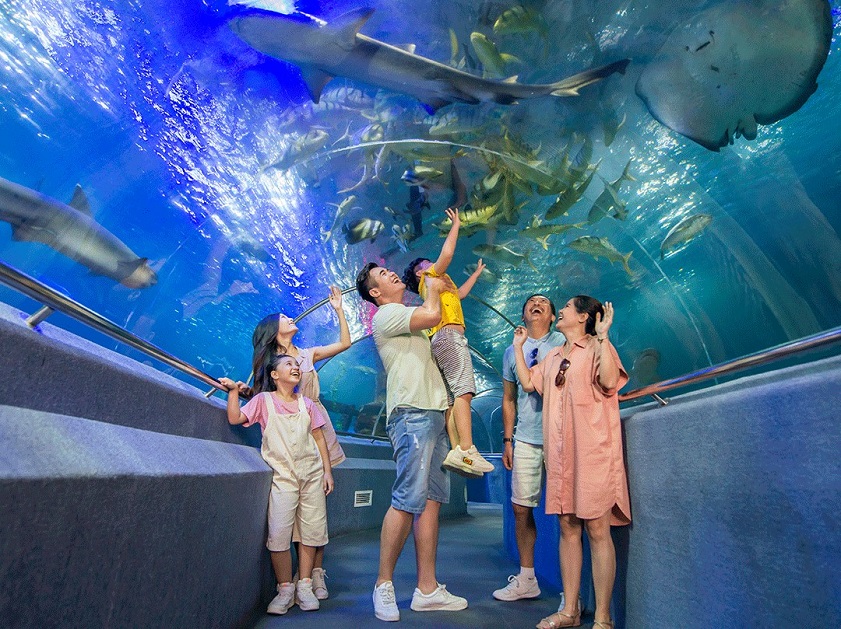 Khám phá nhiều hoạt động thú vị tại VinWonders Phú Quốc