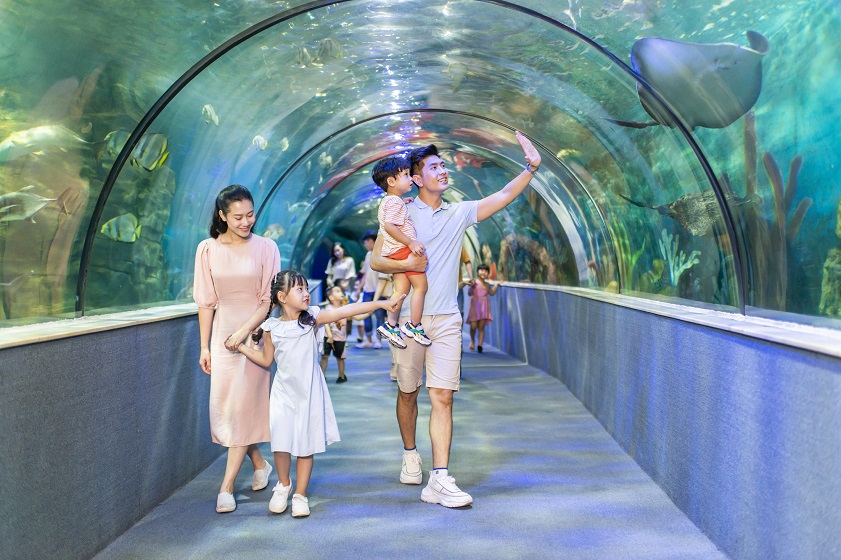 Tham quan Thuỷ cung giữa lòng thủ đô tại Vinpearl Aquarium
