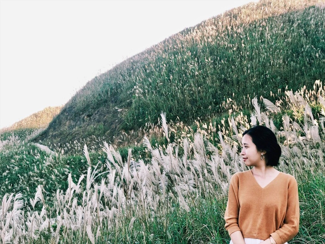 Check in “cháy máy" màu cỏ lau ở Bình Liêu