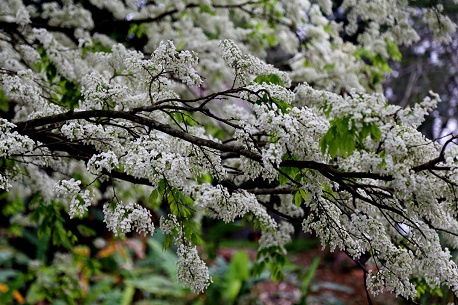 Tháng 3 nên đi du lịch ở đâu miền Bắc? Top 15 địa điểm check in HOT nhất