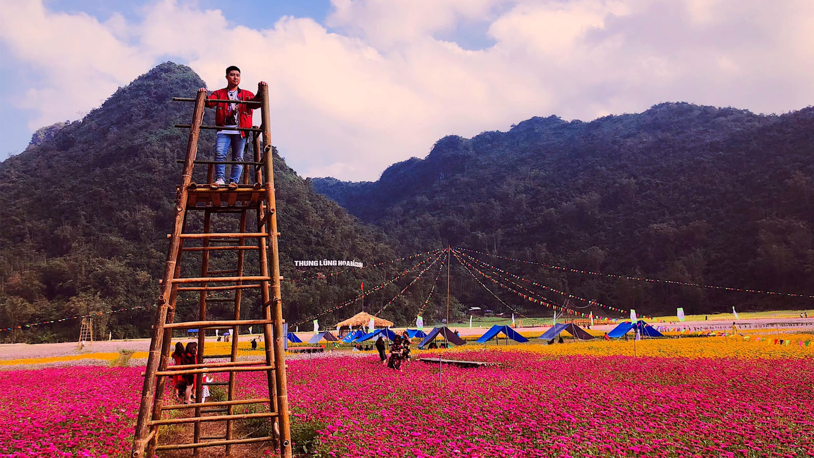 thung lũng hoa Bắc Sơn