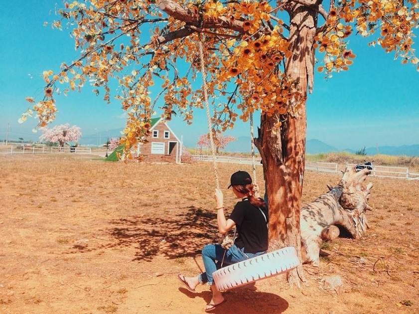 Khung cảnh bình yên tại phim trường