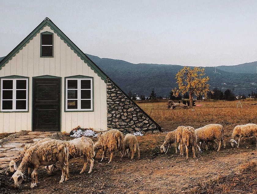 Phim trường không giới hạn thời gian tham quan