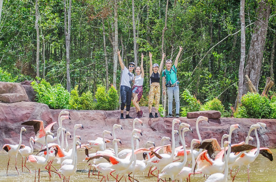 Villa Vinpearl Phú Quốc Ghé thăm hồ hồng hạc khi đến Vinpearl Safari Phú Quốc