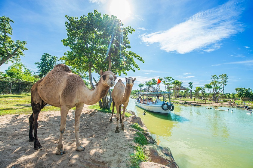 Khám phá vườn thú bán hoang dã trên sông tại Vinpearl Safari Phú Quốc