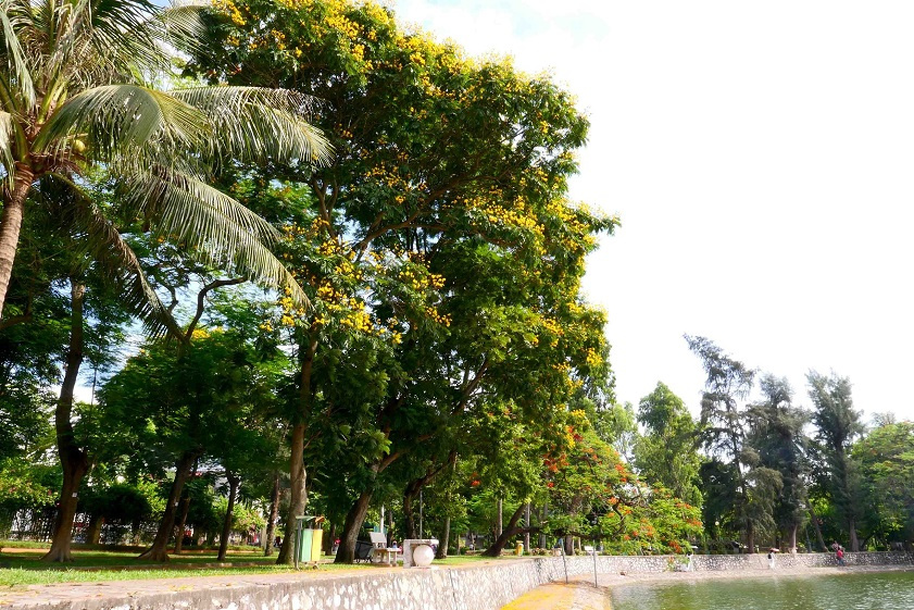 Công viên cây xanh Công viên Thống Nhất Hà Nội