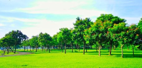 Công viên cây xanh: Khám phá TOP 11 địa điểm tránh nóng đẹp quên lối về