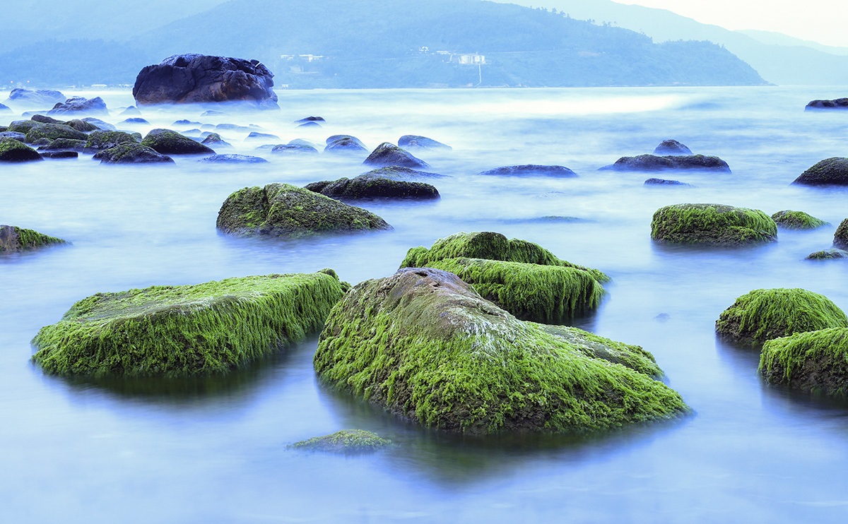 Vẻ đẹp hoang sơ tại Rạn Nam Ô 