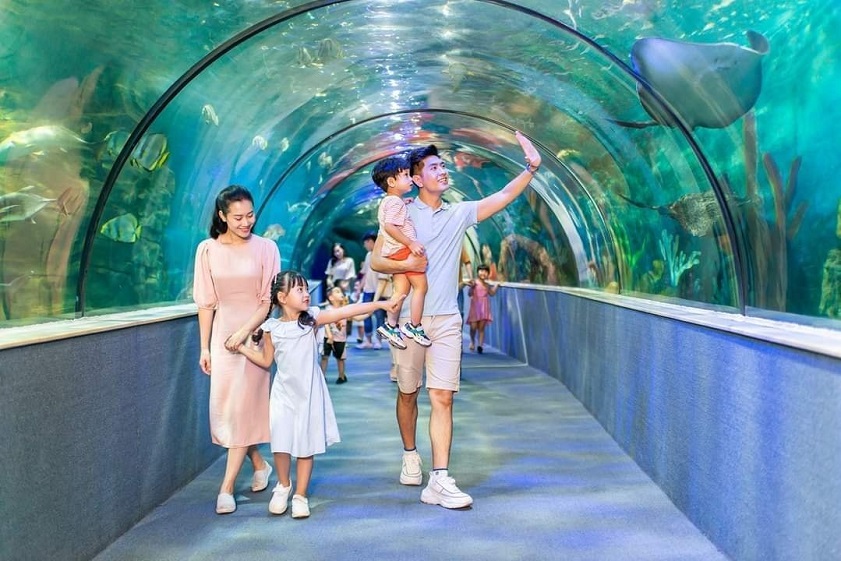 Khám phá thủy cung Vinpearl Aquarium Times City
