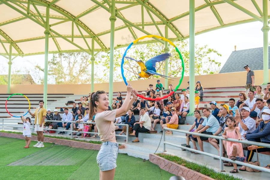 Những show diễn đặc sắc đến từ các loài động vật